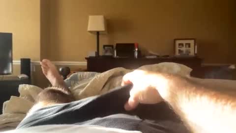 Snapshot of backbay90 chatting on December 2024 02:03:02 PM Backbay90 online show from December 2024 02:03:02 PM