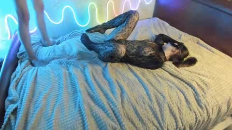 bada_b1ng online show from December 2024 02:35:02 PM