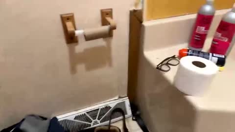 badbaby903795 online show from December 2025 12:59:02 AM