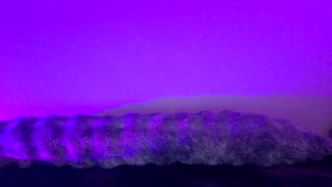 baddiejess618433 online show from December 2024 05:26:01 AM