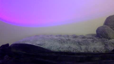 baddiejess618433 online show from January 2025 08:10:02 PM