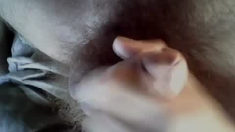 Snapshot of baghiraa chatting on September 2025 08:30:02 AM Baghira online show from September 2025 08:30:02 AM