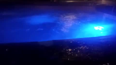 bakerbeachismygig online show from December 2024 04:45:02 AM