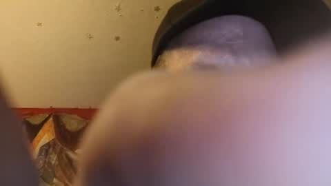 Snapshot of barniemay1 chatting on June 2026 12:33:02 PM barniemay1 online show from June 2026 12:33:02 PM