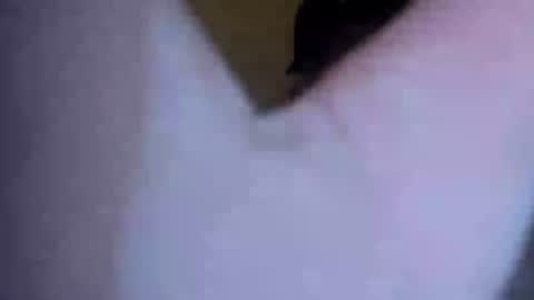 Snapshot of barniemay1 chatting on July 2026 04:41:01 AM barniemay1 online show from July 2026 04:41:01 AM
