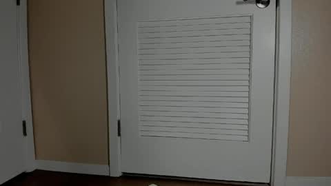 Emi online show from April 2026 09:39:33 PM