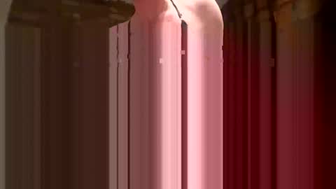 barryditches online show from December 2025 06:46:02 PM