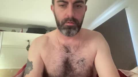 Snapshot of basstard_one chatting on December 2025 11:41:02 AM basstard_one online show from December 2025 11:41:02 AM