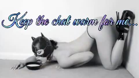 Snapshot of batmansfavoritewife chatting on July 2026 04:58:02 AM Your always sexy Harley online show from July 2026 04:58:02 AM