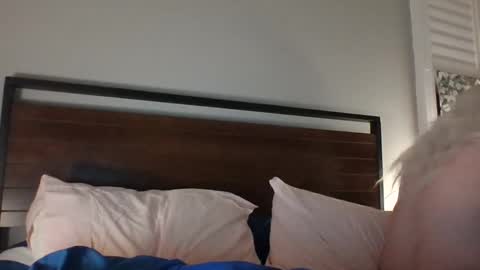 Snapshot of bawblejam chatting on December 2024 11:29:01 AM BjBambi online show from December 2024 11:29:01 AM