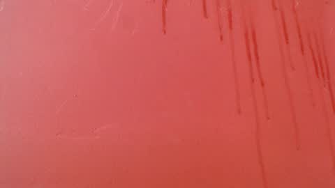 Snapshot of bayonette_black chatting on November 2025 09:13:02 PM bayonette_black online show from November 2025 09:13:02 PM