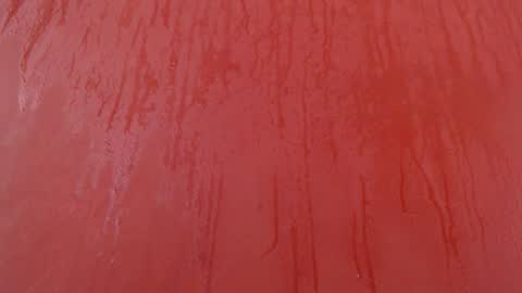 Snapshot of bayonette_black chatting on November 2025 07:07:02 PM bayonette_black online show from November 2025 07:07:02 PM