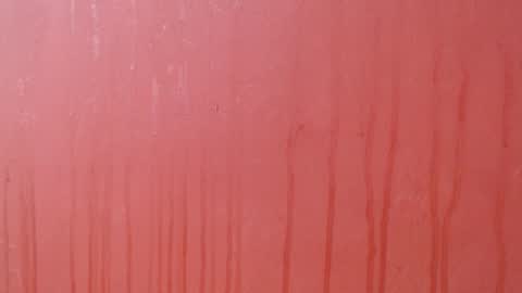 Snapshot of bayonette_black chatting on December 2025 08:18:02 PM bayonette_black online show from December 2025 08:18:02 PM