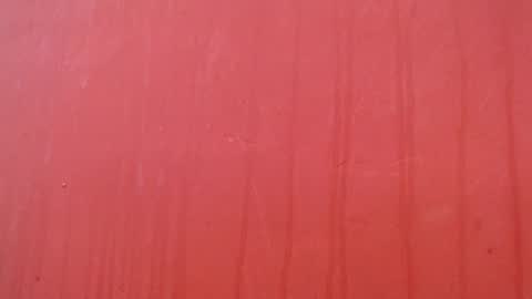 Snapshot of bayonette_black chatting on December 2025 07:09:01 PM bayonette_black online show from December 2025 07:09:01 PM