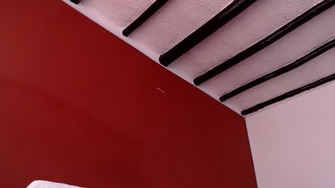 bayonette_black online show from March 2026 01:15:02 PM