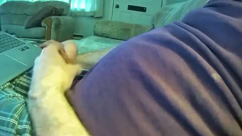 bcema2 online show from January 2026 08:01:01 PM