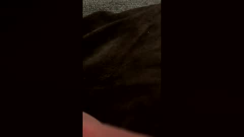 bdddave online show from March 2026 12:14:01 AM