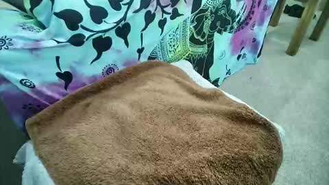 mikiforfun online show from May 2026 09:25:02 AM
