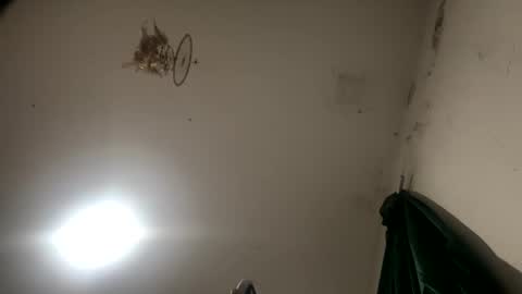 Sara  Juan online show from November 2025 02:24:01 AM