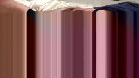 Snapshot of beachguy469 chatting on September 2025 02:55:02 PM BeachGuy online show from September 2025 02:55:02 PM