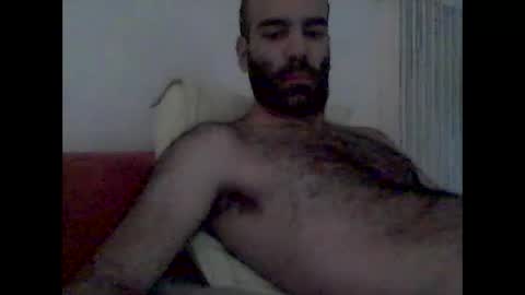 Snapshot of bear14250949 chatting on November 2025 08:05:02 AM bear14250949 online show from November 2025 08:05:02 AM