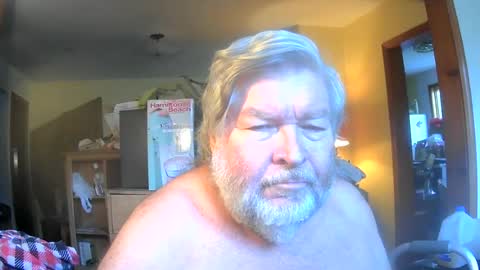 bear online show from June 2026 10:24:02 AM