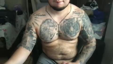 Bearcito online show from March 2025 07:49:02 PM