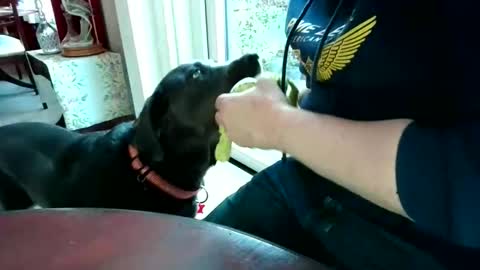 Beardman online show from April 2026 05:57:01 PM