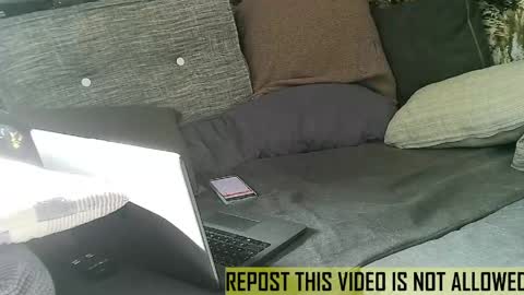 bearlov1 online show from May 2026 07:26:02 AM