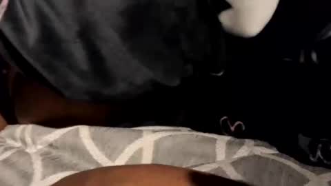 BeastyAdamsTgExotic online show from February 2025 10:33:02 AM