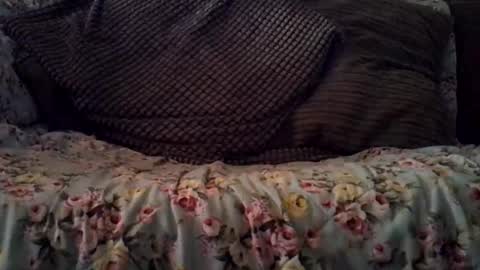 beatlebut online show from October 2025 03:18:02 AM