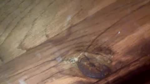 beautifukk online show from January 2026 07:52:02 PM