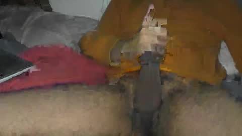 Beaverpounder  free online show from March 2025 05:11:01 AM