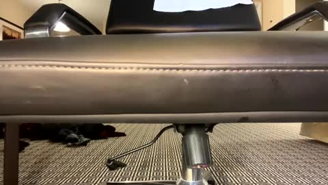 Snapshot of bebedb2001 chatting on March 2025 12:42:01 AM bebedb2001 online show from March 2025 12:42:01 AM