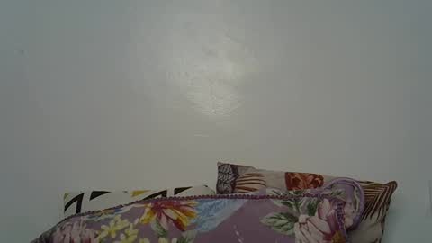 Snapshot of beeswee chatting on December 2024 06:01:02 AM beeswee online show from December 2024 06:01:02 AM