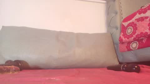 Begonia online show from December 2024 09:31:01 AM
