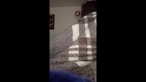 Snapshot of belcebu472402 chatting on November 2025 02:41:01 PM belcebu472402 online show from November 2025 02:41:01 PM