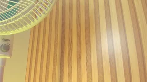 Melanie  online show from February 2026 10:33:01 AM