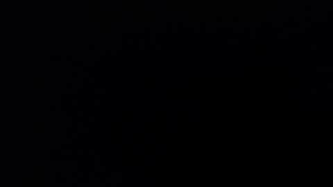 Bella online show from December 2025 02:04:01 PM