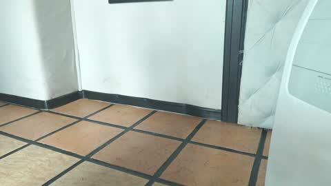    online show from December 2024 01:51:02 PM