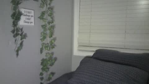 Ben online show from February 2025 11:34:01 AM