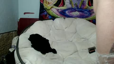 Bent Bunny online show from July 2026 03:00:02 AM