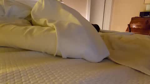 bentpilot online show from December 2025 11:50:01 AM