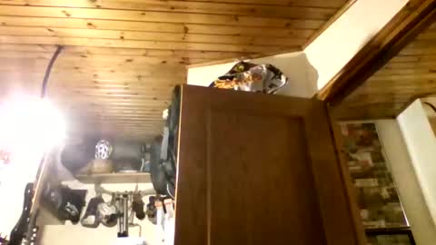 bernichaos77 online show from February 2026 02:34:02 AM