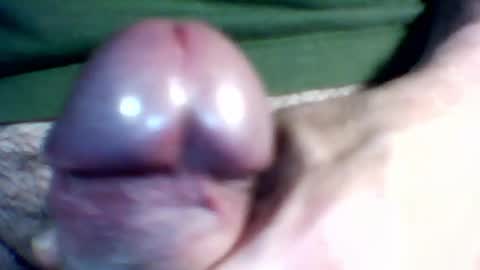 bersekbek online show from May 2026 12:19:02 AM