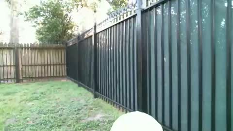 Blue online show from March 2026 11:23:01 PM