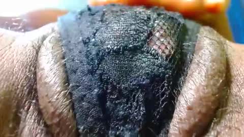 Bethany Wilson online show from January 2026 05:18:01 PM