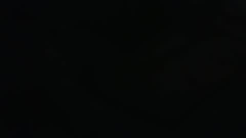 . online show from March 2026 11:00:01 PM