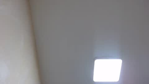 Snapshot of bevora13 chatting on January 2025 05:31:01 PM Nixie online show from January 2025 05:31:01 PM