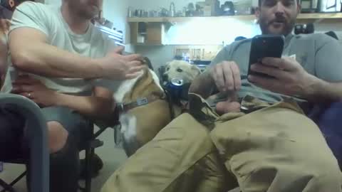 Snapshot of bicboy007 chatting on March 2025 02:34:01 AM bicboy007 online show from March 2025 02:34:01 AM